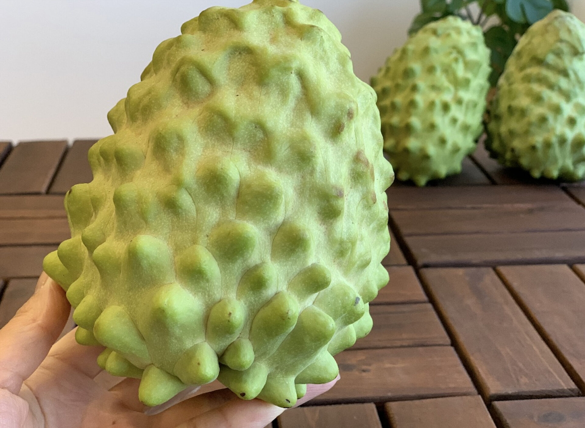 釈迦 頭 果物